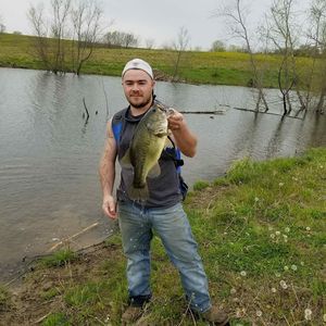 Meet your Posher, Lee